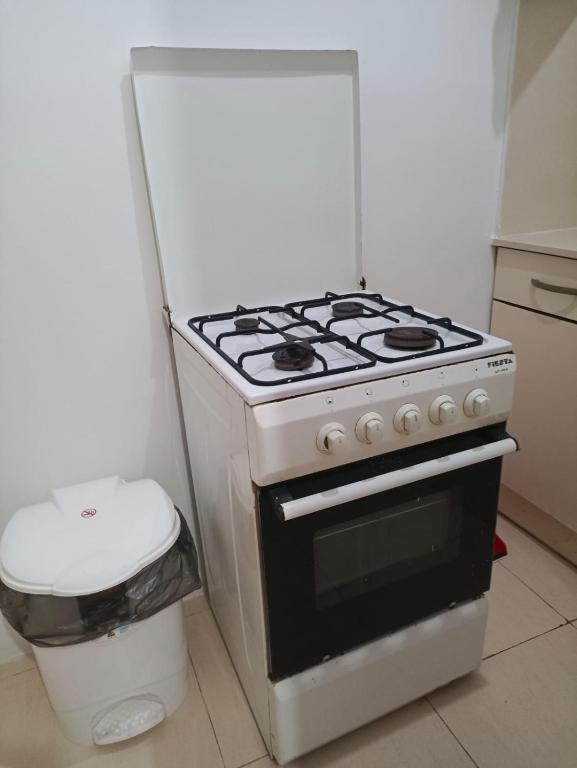Kuchyň nebo kuchyňský kout v ubytování rose apartment