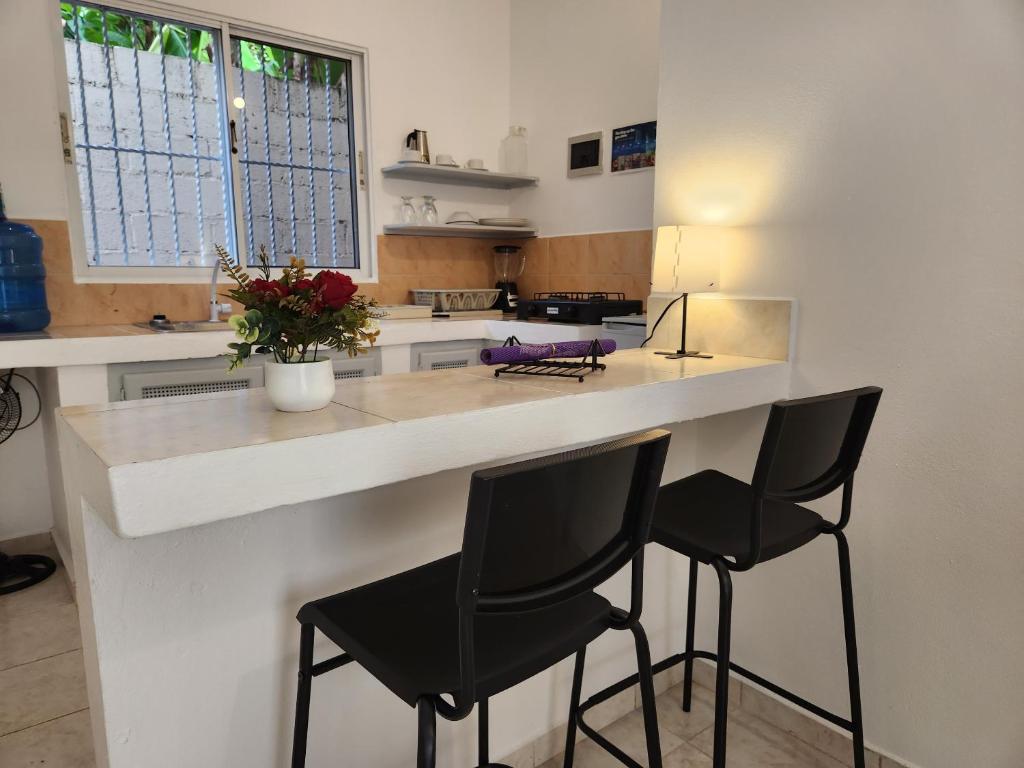 Kuchyň nebo kuchyňský kout v ubytování Residencia NILAYA
