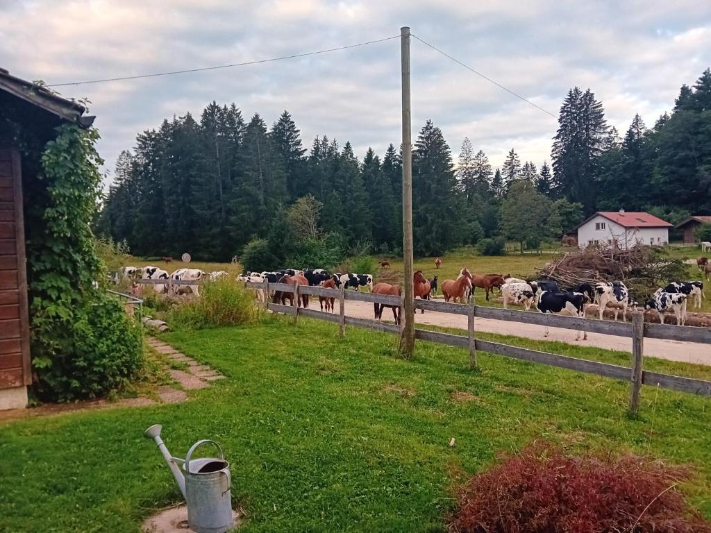 Příroda nedaleko ubytování v soukromí