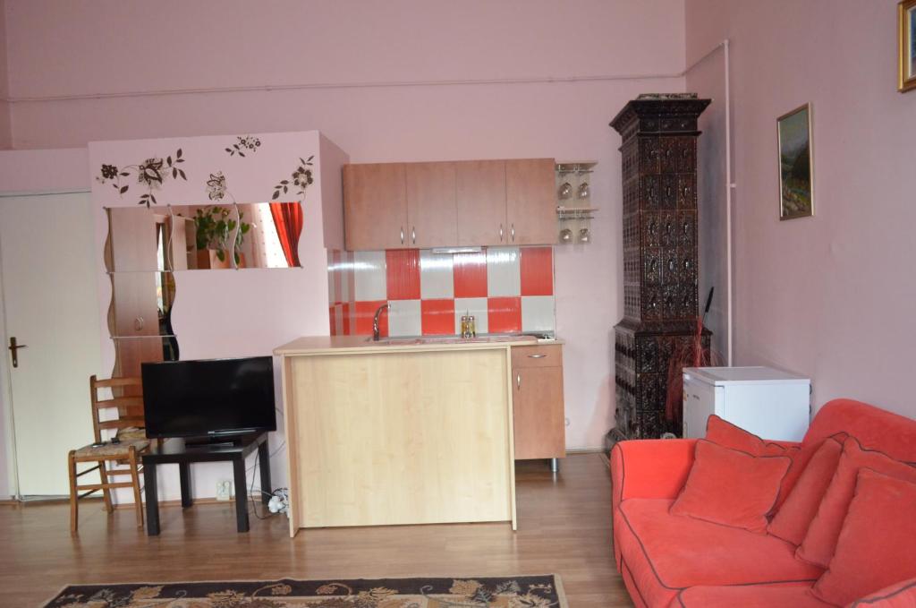 クルジュ・ナポカにあるCosy Studioのリビングルーム(赤いソファ付)、キッチン
