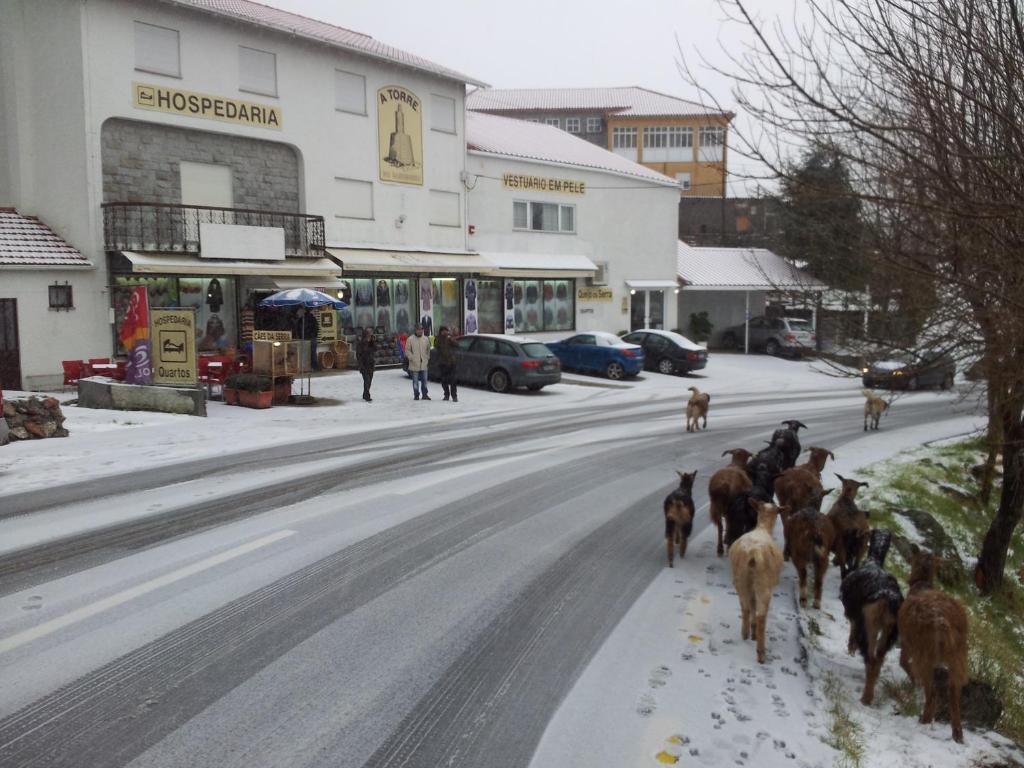 A TORRE no Sabugueiro - 18