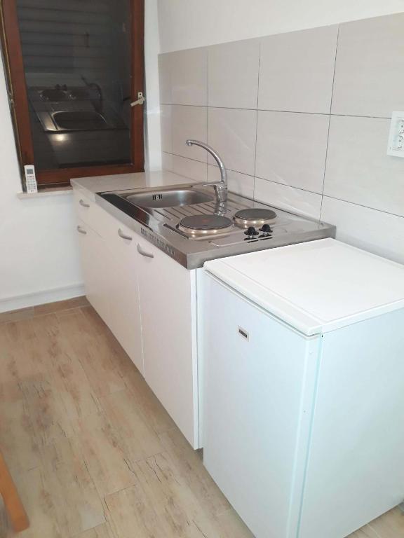 Kuchyňa alebo kuchynka v ubytovaní Apartments by the sea Sladjenovici, Dubrovnik - 11531