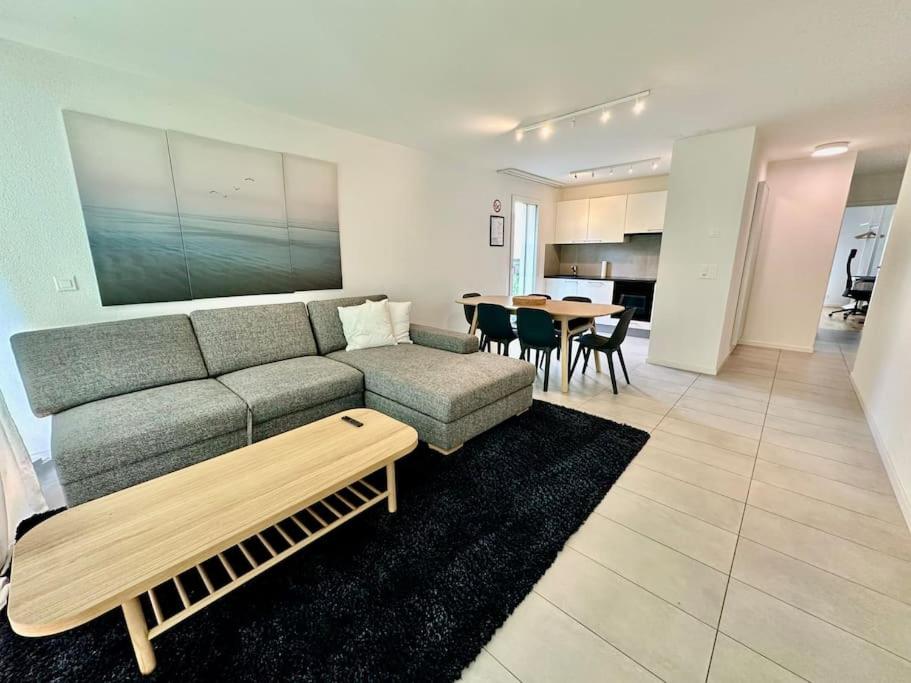 Great apartment in Lausanne - Resim 1