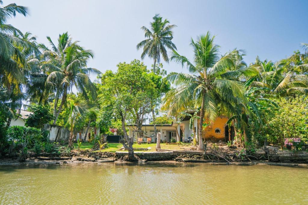a house with palm trees next to a body of water at riVer in Pelena