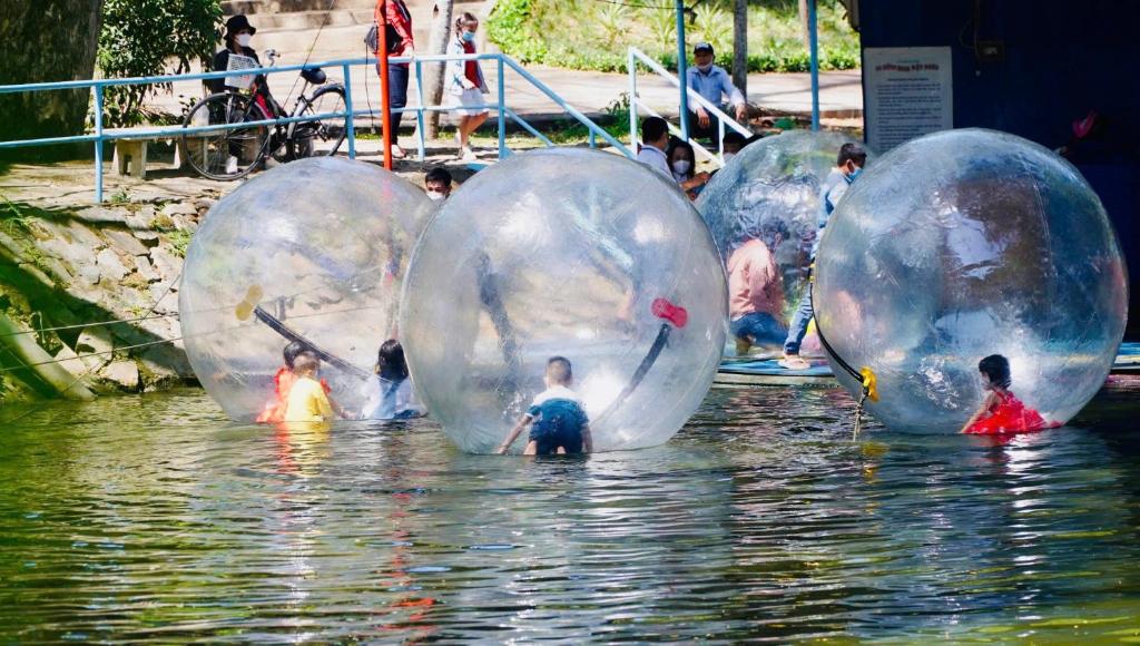 Zvířata v hostelu nebo okolí