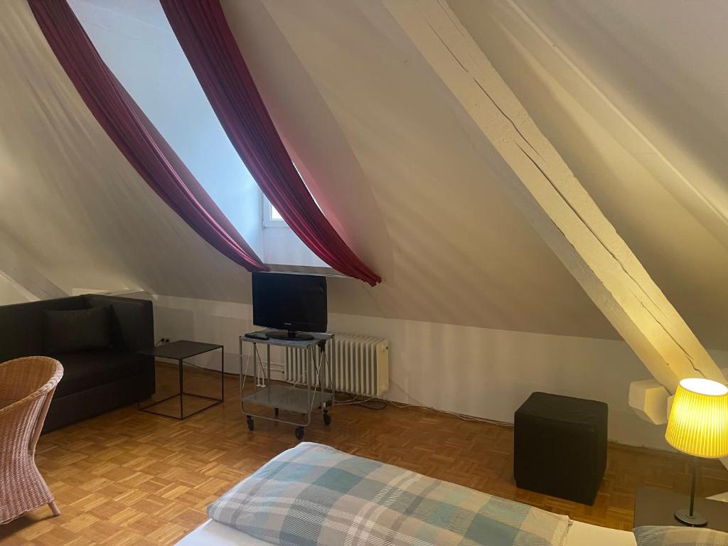 TV a/nebo společenská místnost v ubytování WHLIVING - Apartments & Studios in Konstanz