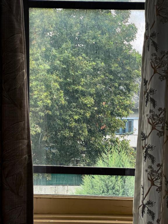 Zahrada ubytování RocRidge Home stay