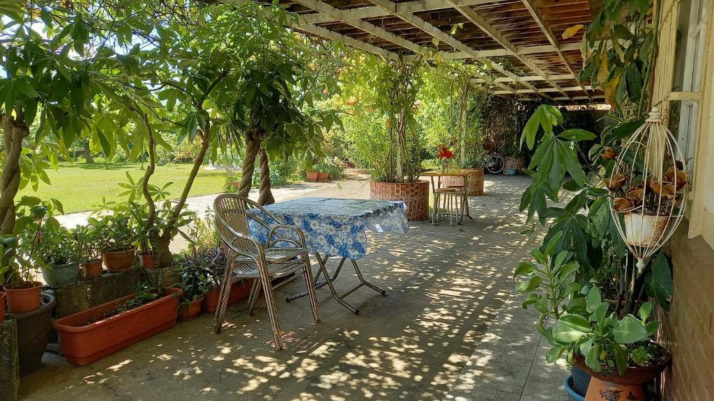 Zahrada ubytování Joel's Garden 悠爾庭園古厝民宿