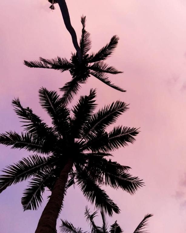 Galería fotográfica de Coco Colada Bungalows en Kuta Lombok
