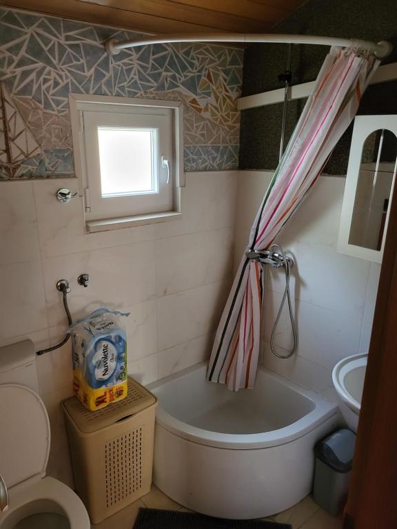 Koupelna v ubytování Apartman Ivan