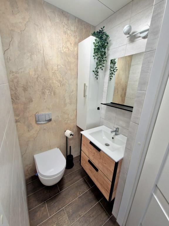 Kúpeľňa v ubytovaní Apartamenty Promyk Wisełka