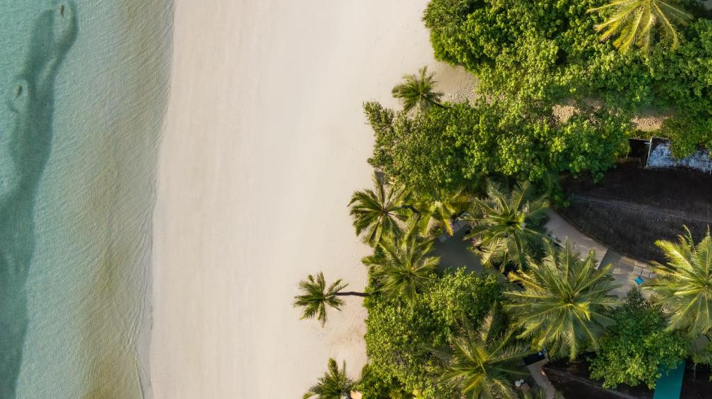 Constance Halaveli - 17