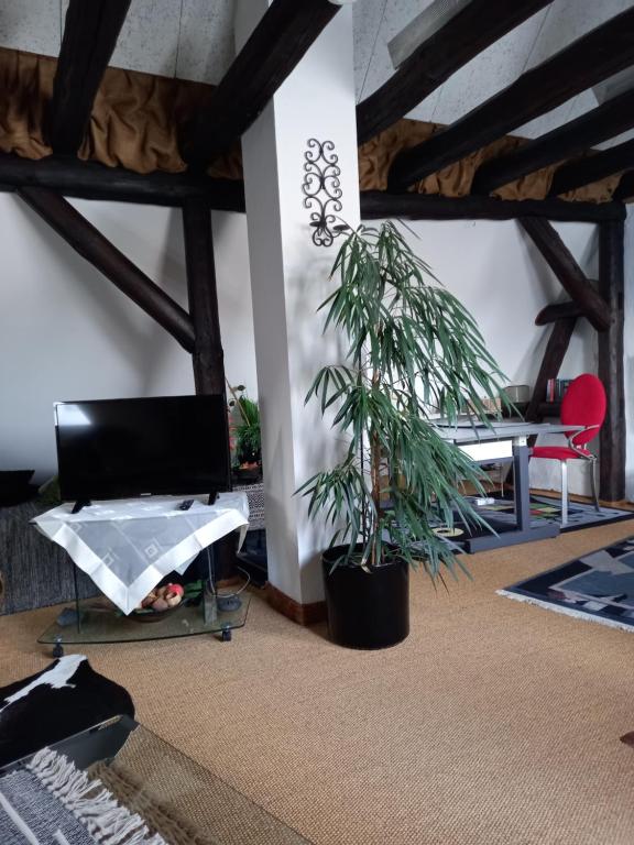 TV a/nebo společenská místnost v ubytování Loft Ziegelei