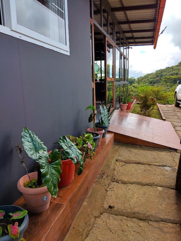 Zahrada ubytování Coorg Tree House