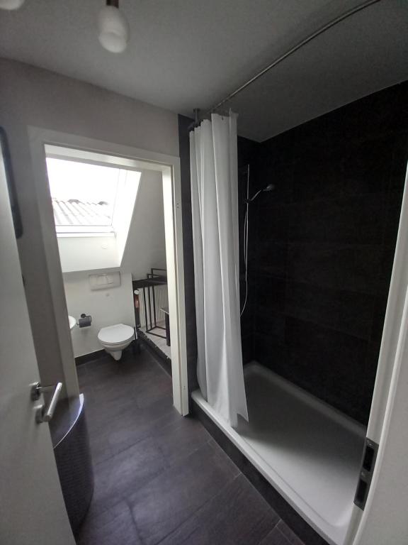 Koupelna v ubytování Loft Ziegelei