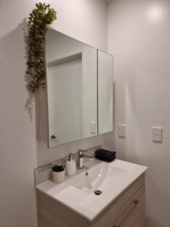 Brand new Central Studio on Wilmer - Resim 9