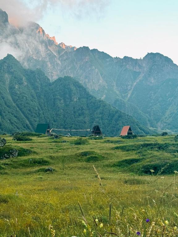 Природа в окрестностях шале
