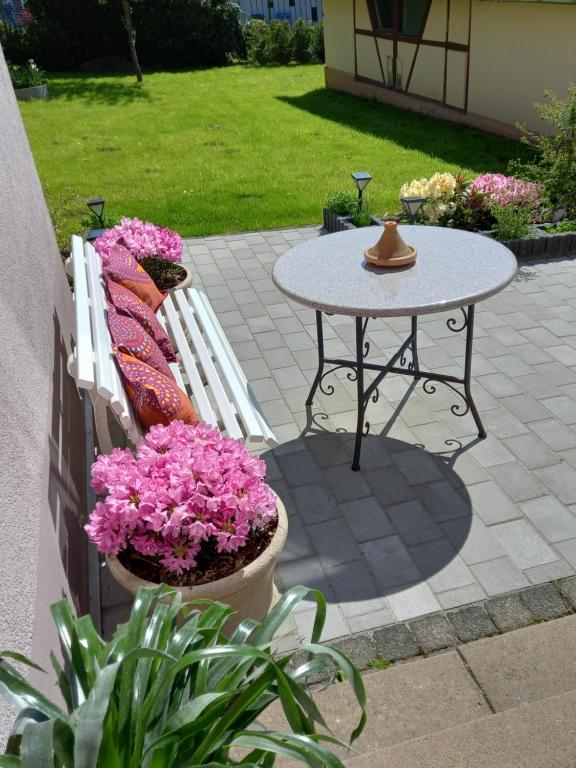 Zahrada ubytování Loft Ziegelei