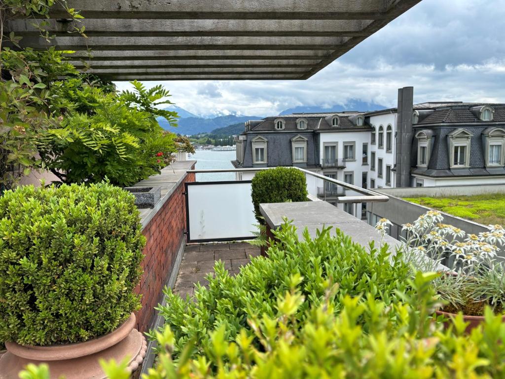 Hotel Luzernerhof - Resim 44