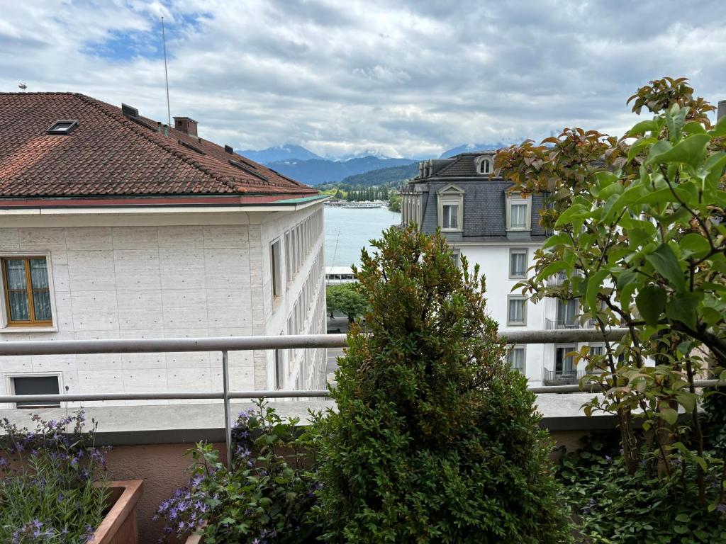 Hotel Luzernerhof - Resim 45