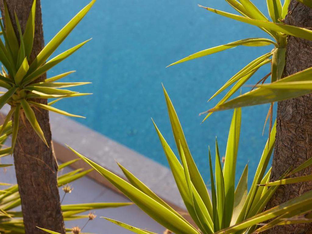 The Roc Club, A Grecotel Hotel to Live - Resim 35