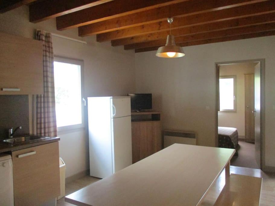 Kuchyň nebo kuchyňský kout v ubytování T4 DUPLEX SPACIEUX -7 PERSONNES- PISCINE à ARREAU