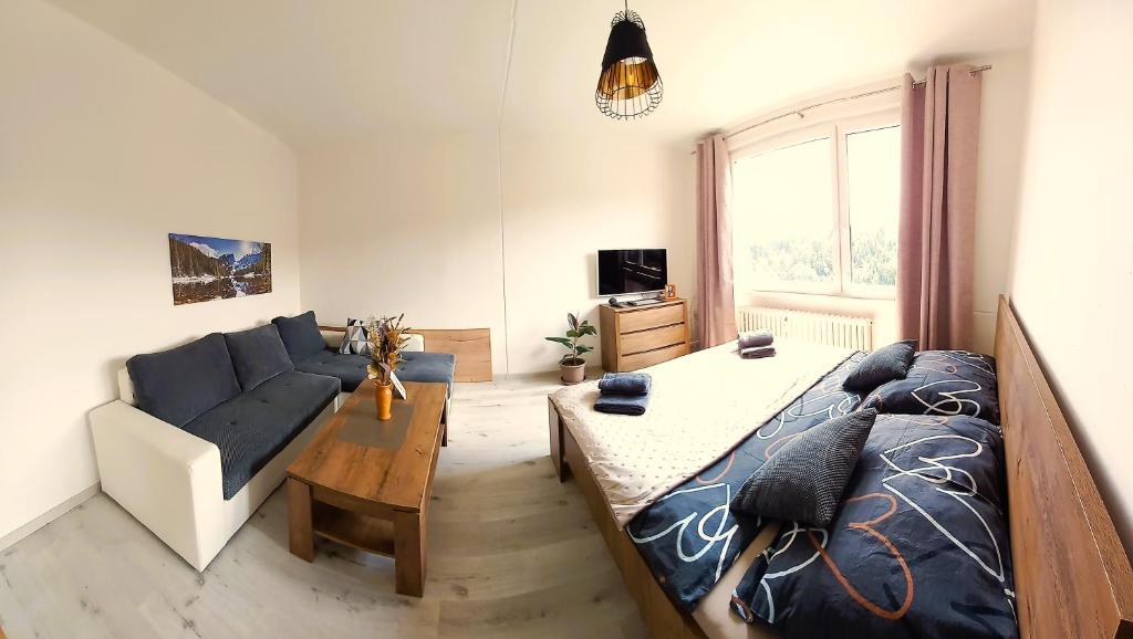 TV a/nebo společenská místnost v ubytování Apartmán u lanovky