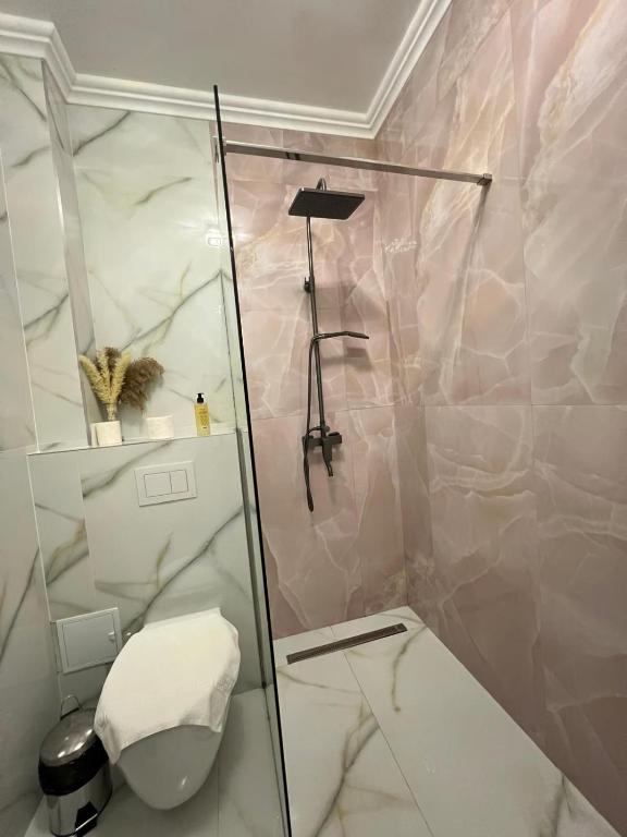 Pensiunea Baroc - Resim 11