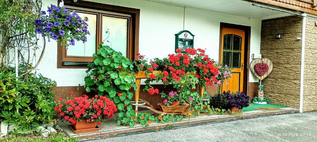 Zahrada ubytování Klause-Stüberl