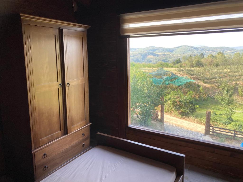 Příroda nedaleko apartmánu