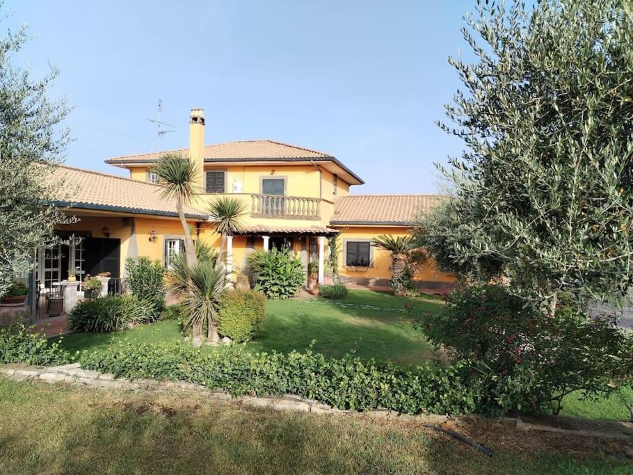 una gran casa amarilla con palmeras en el patio en A Casa di Mery - Appartamento in Villa con piscina, en Cecchina