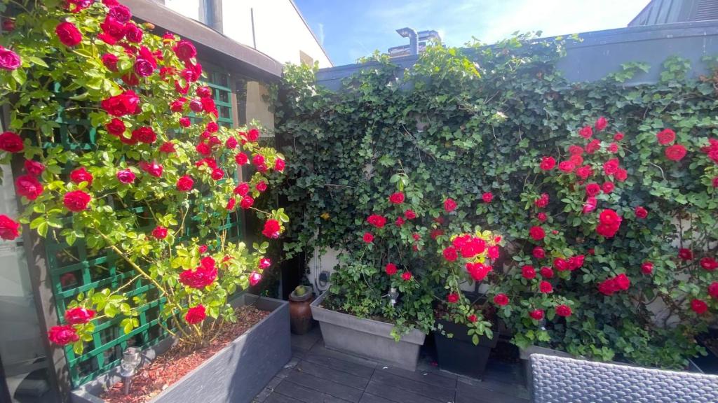 Une bande de fleurs rouges sur le côté d'un bâtiment dans l'établissement Louvre Terrace Apartment, à Paris
