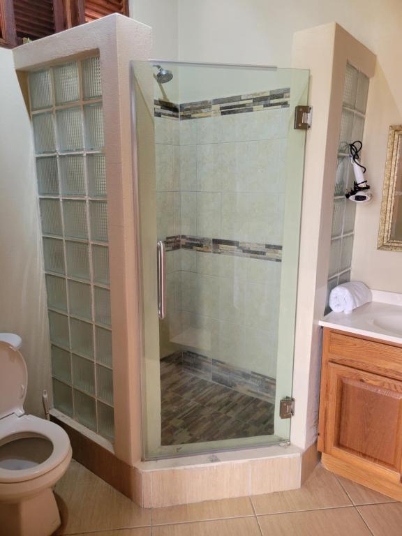 bagno con doccia in vetro e servizi igienici. di Samfi Gardens a Soufriere