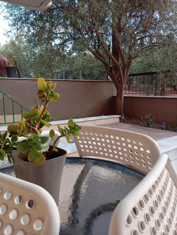 Balkon lub taras w obiekcie New Stylish and Cozy Apartment