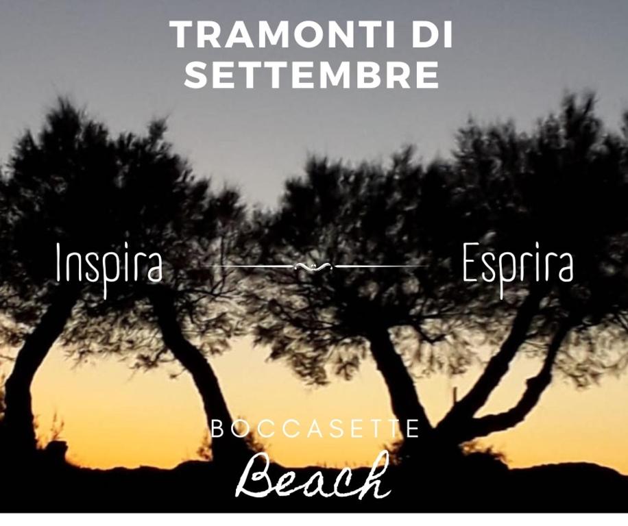 a picture of three trees in front of a sunset at Appartamento Lavanda - Casa vacanza nel Delta del Po in Ca Zuliani