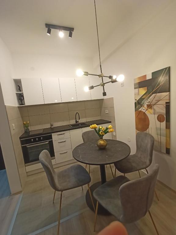 Kuchyň nebo kuchyňský kout v ubytování Apartman Zoja