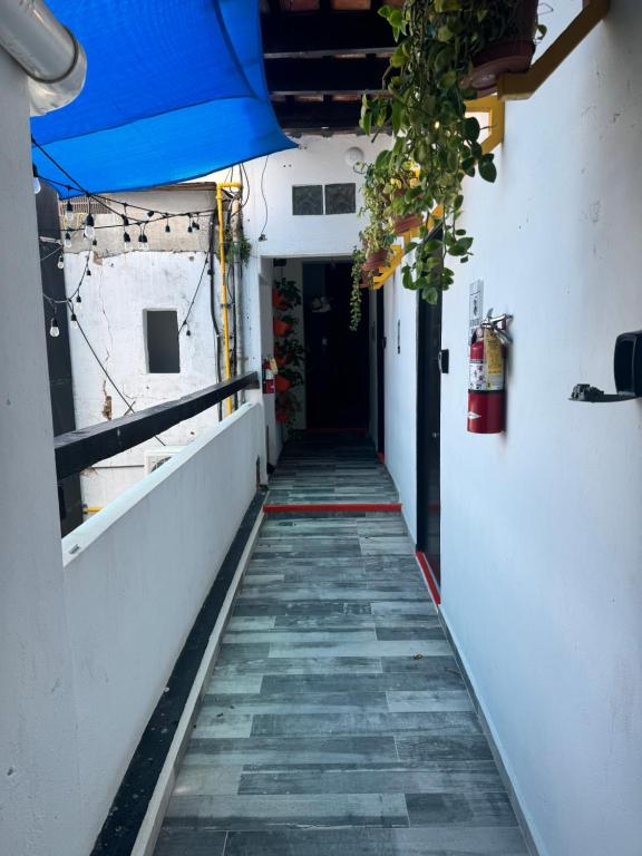 Fotografie z fotogalerie ubytování Trotamundos v destinaci San Juan