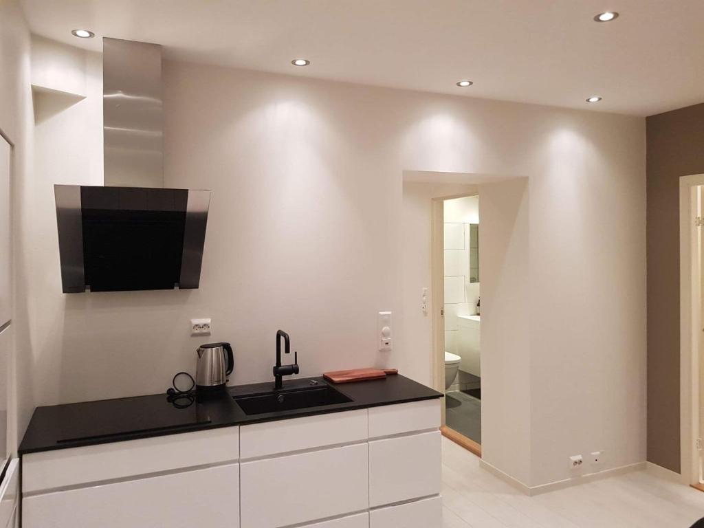 Η κουζίνα ή μικρή κουζίνα στο Moderne leilighet nær sentrum