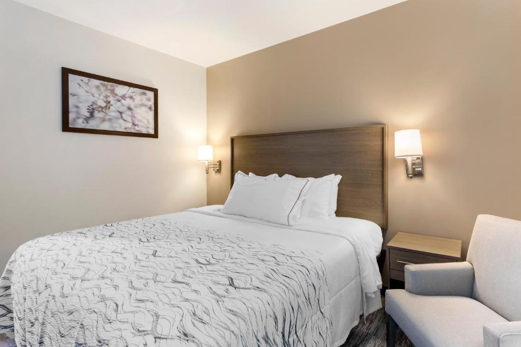 Red Roof Inn PLUS Jamaica, NY - JFK Airport - Deluxe King Smoke Gratis
