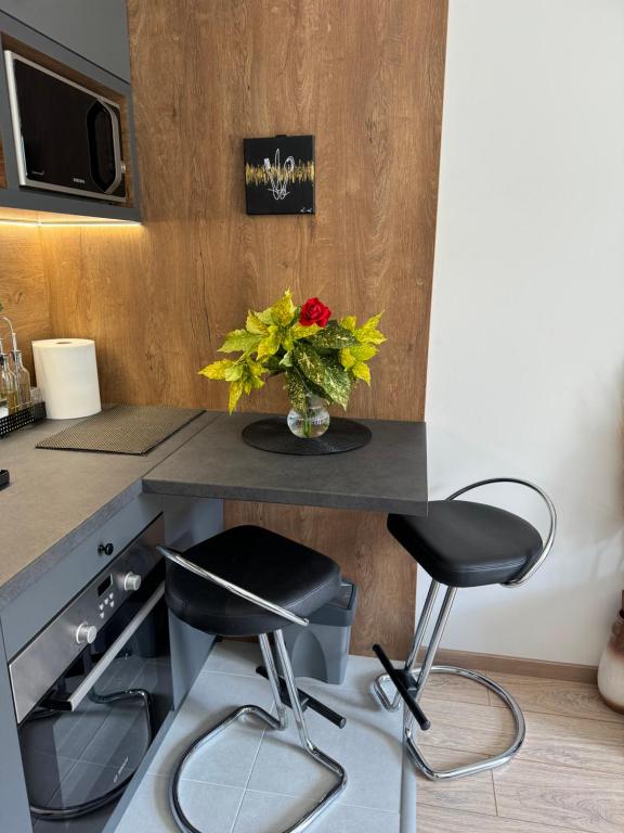 Fotografie z fotogalerie ubytování Apartmani Viver Vrnjačka Banja v destinaci Vrnjci