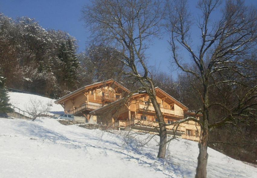 サランシュにあるLe Chalet Vue Mont-Blancの雪の中の木の丸太小屋