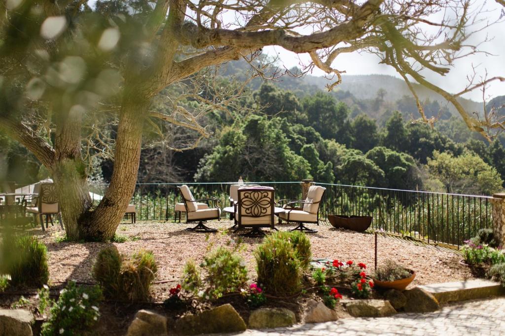 Quinta da Bella Vista, Private Historic Estate, Sintra - 17