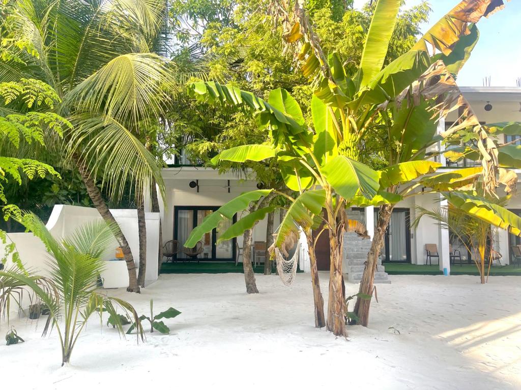 Zahrada ubytování La Palma Suites