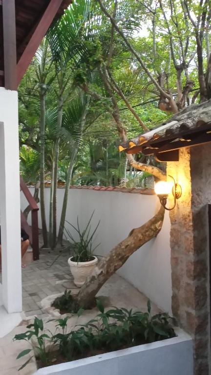Zahrada ubytování Pitanga Ilha Grande