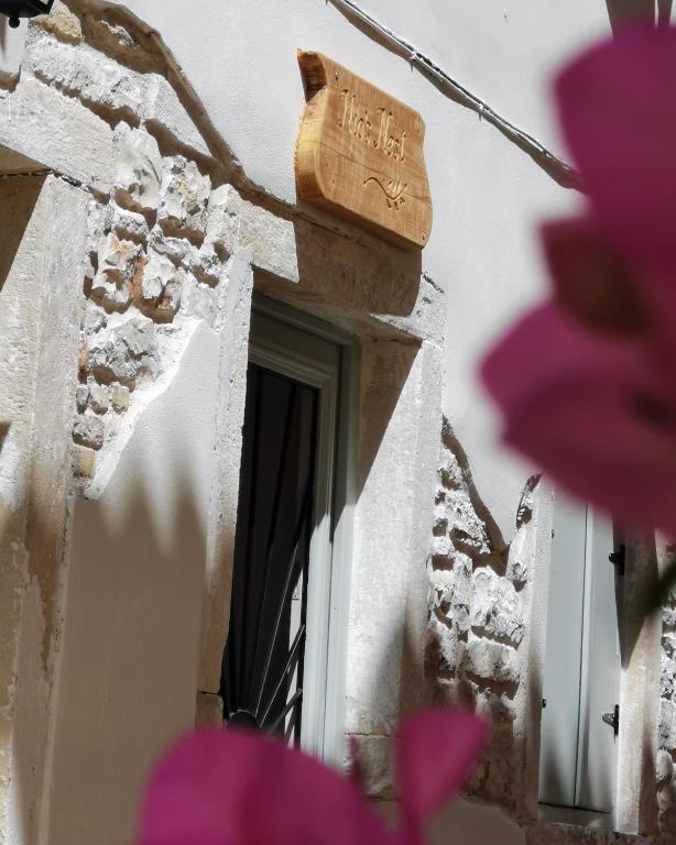 Fotografie z fotogalerie ubytování Nio's nest v destinaci Gaios