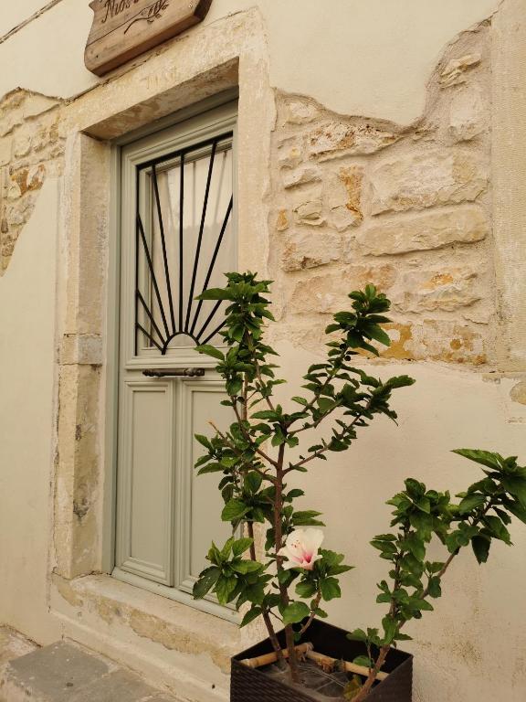 Fotografie z fotogalerie ubytování Nio's nest v destinaci Gaios