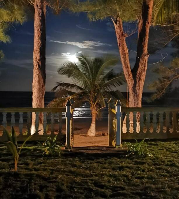 Zahrada ubytování Villa Playa Encantada