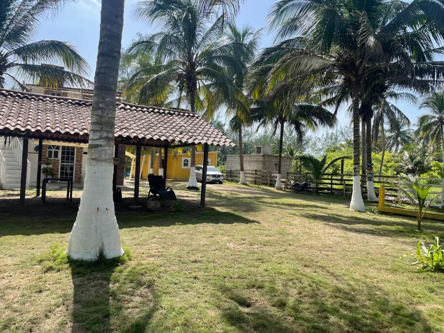 Zahrada ubytování Villa Playa Encantada