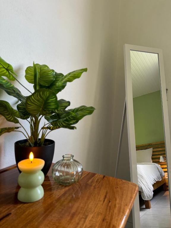 Postel nebo postele na pokoji v ubytování Casa Tropical · T3 Calme & Spacieux