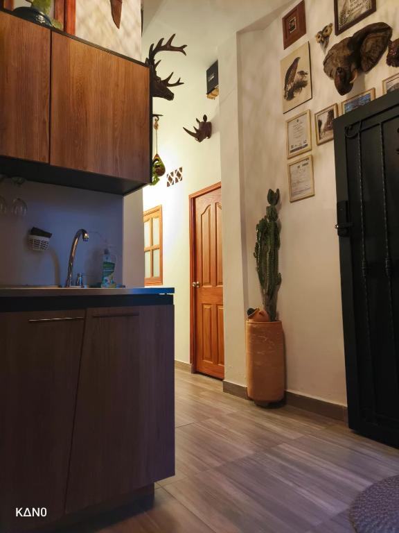 Kuchyň nebo kuchyňský kout v ubytování Hospedaje Oasis Blue Laureles Medellín